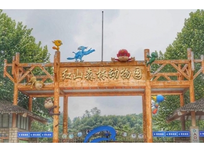 南京红山森林动物园多大？